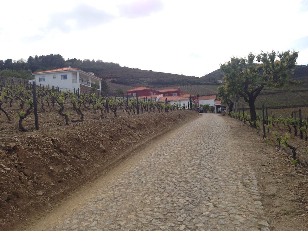 הוילה Provesende Quinta Dos Espinheiros חדר תמונה