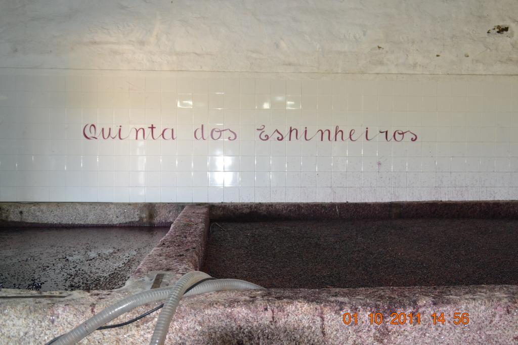 הוילה Provesende Quinta Dos Espinheiros מראה חיצוני תמונה