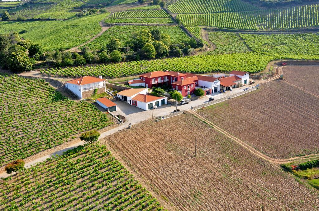 הוילה Provesende Quinta Dos Espinheiros מראה חיצוני תמונה